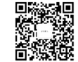 网赌app